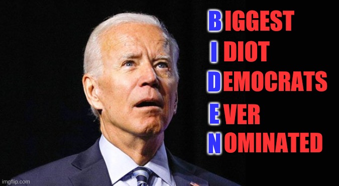 Take a good long look folks. | IGGEST; B; I; DIOT; D; EMOCRATS; E; VER; N; OMINATED | image tagged in confused joe biden | made w/ Imgflip meme maker