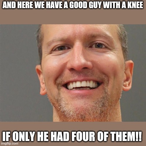 Chauvin smile | AND HERE WE HAVE A GOOD GUY WITH A KNEE IF ONLY HE HAD FOUR OF THEM!! | image tagged in chauvin smile | made w/ Imgflip meme maker