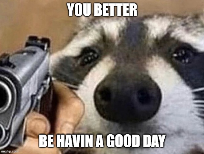 you heard me.. | YOU BETTER; BE HAVIN A GOOD DAY | image tagged in wholesome coon with gun | made w/ Imgflip meme maker
