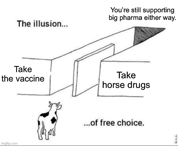 Might as well take the one that doesn’t destroy your intestine lining. | You’re still supporting big pharma either way. Take horse drugs; Take the vaccine | image tagged in illusion of free choice,covid-19,vaccines,big pharma | made w/ Imgflip meme maker