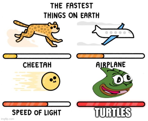 fastest thing possible | TURTLES | image tagged in fastest thing possible | made w/ Imgflip meme maker