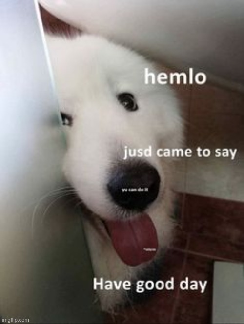 made w/ Imgflip meme maker