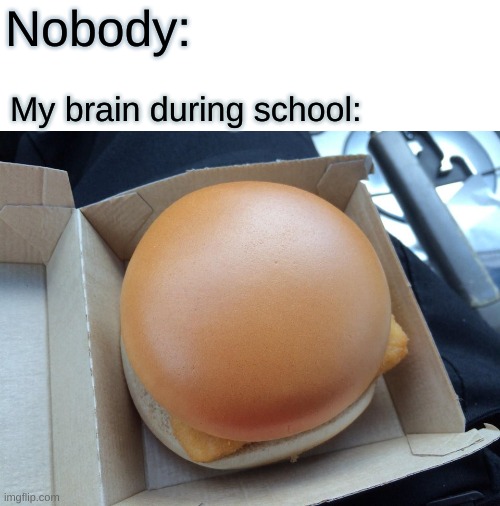 You've been hit by a smooth idiot. | Nobody:; My brain during school: | image tagged in smooth burger,smooth brain | made w/ Imgflip meme maker