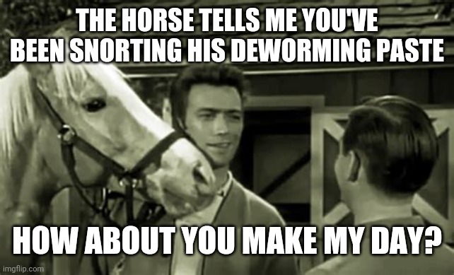MISTER ED AND FRIENDS | THE HORSE TELLS ME YOU'VE BEEN SNORTING HIS DEWORMING PASTE; HOW ABOUT YOU MAKE MY DAY? | image tagged in mister ed and friends | made w/ Imgflip meme maker
