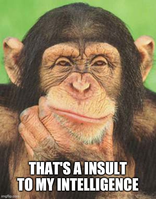 chimpanzee thinking | THAT'S A INSULT TO MY INTELLIGENCE | image tagged in chimpanzee thinking | made w/ Imgflip meme maker