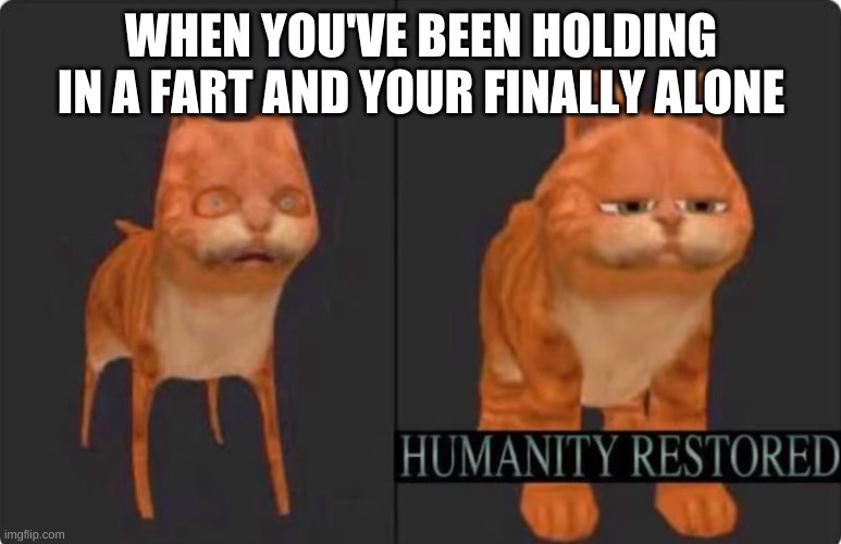 humanity restored | WHEN YOU'VE BEEN HOLDING IN A FART AND YOUR FINALLY ALONE | image tagged in humanity restored | made w/ Imgflip meme maker
