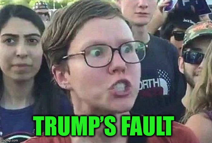 Triggered Liberal | TRUMP’S FAULT | image tagged in triggered liberal | made w/ Imgflip meme maker