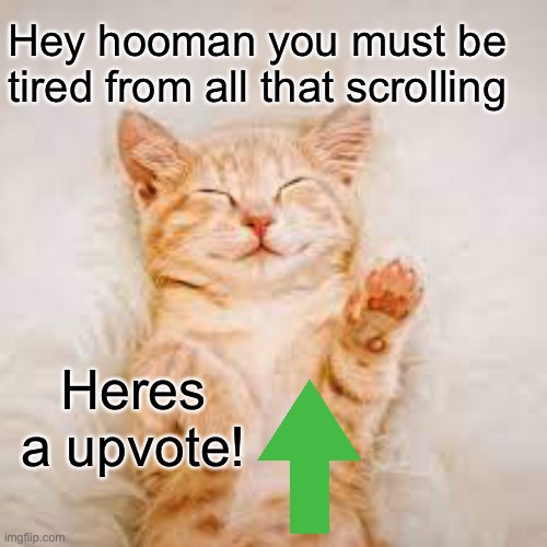 Here have an upvote | Hey hooman you must be tired from all that scrolling; Heres a upvote! | image tagged in so cute,upvote,cats | made w/ Imgflip meme maker
