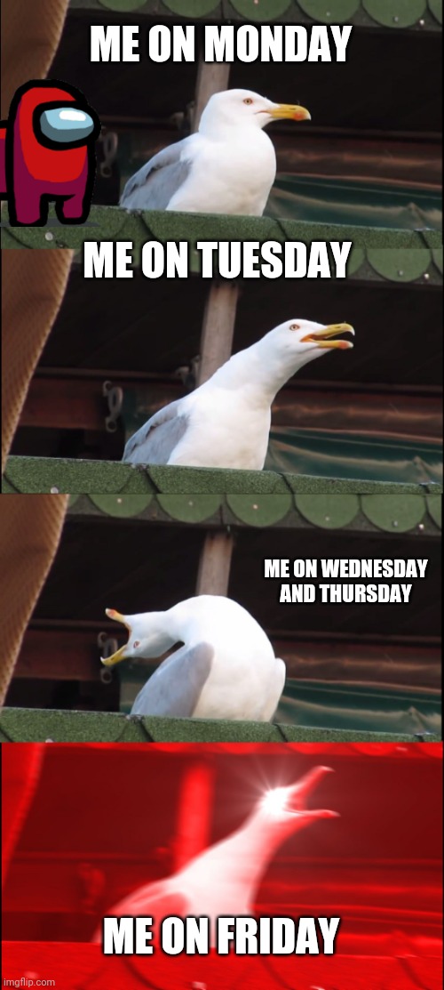 Bird | ME ON MONDAY; ME ON TUESDAY; ME ON WEDNESDAY AND THURSDAY; ME ON FRIDAY | image tagged in memes,inhaling seagull | made w/ Imgflip meme maker