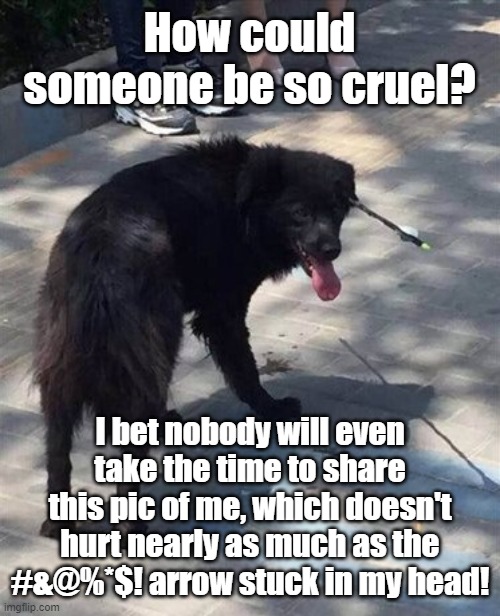 Lead a Dog's Life | How could someone be so cruel? I bet nobody will even take the time to share this pic of me, which doesn't hurt nearly as much as the #&@%*$! arrow stuck in my head! | image tagged in bad joke dog | made w/ Imgflip meme maker