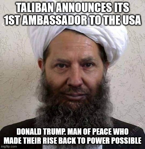 Donald Trump new job | TALIBAN ANNOUNCES ITS 1ST AMBASSADOR TO THE USA; DONALD TRUMP. MAN OF PEACE WHO MADE THEIR RISE BACK TO POWER POSSIBLE | image tagged in donald trump,taliban,doha,afghanistan,ambassador,united states | made w/ Imgflip meme maker