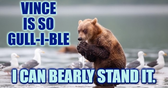 VINCE IS SO GULL-I-BLE I CAN BEARLY STAND IT. | made w/ Imgflip meme maker
