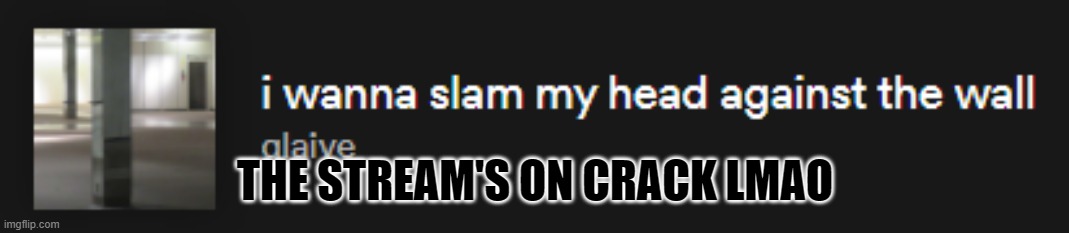 I wanna slam my head against the wall | THE STREAM'S ON CRACK LMAO | image tagged in i wanna slam my head against the wall | made w/ Imgflip meme maker