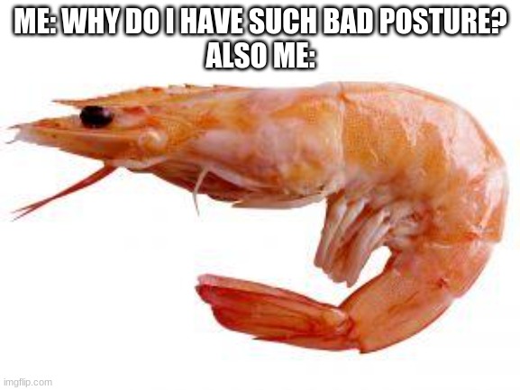 shrimp | ME: WHY DO I HAVE SUCH BAD POSTURE?
ALSO ME: | image tagged in shrimply | made w/ Imgflip meme maker