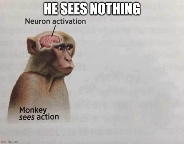 Monkey neuron activation | HE SEES NOTHING | image tagged in monkey neuron activation | made w/ Imgflip meme maker