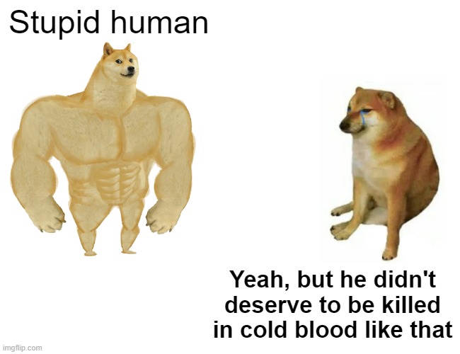 Buff Doge vs. Cheems Meme | Stupid human Yeah, but he didn't deserve to be killed in cold blood like that | image tagged in memes,buff doge vs cheems | made w/ Imgflip meme maker