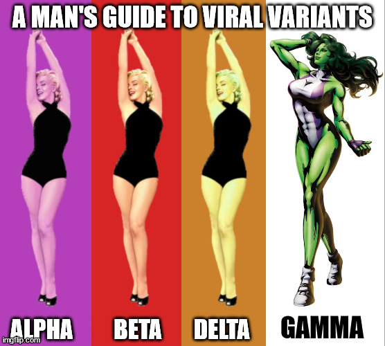 A Man's Guide to Viral Variants | A MAN'S GUIDE TO VIRAL VARIANTS; ALPHA         BETA       DELTA; GAMMA | image tagged in a guide to | made w/ Imgflip meme maker