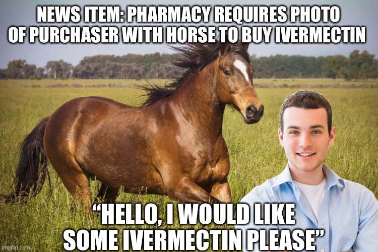NEWS ITEM: PHARMACY REQUIRES PHOTO OF PURCHASER WITH HORSE TO BUY IVERMECTIN; “HELLO, I WOULD LIKE SOME IVERMECTIN PLEASE” | made w/ Imgflip meme maker