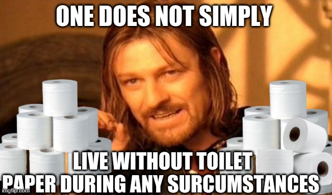 One Does Not Simply | ONE DOES NOT SIMPLY; LIVE WITHOUT TOILET PAPER DURING ANY SURCUMSTANCES | image tagged in memes,one does not simply | made w/ Imgflip meme maker