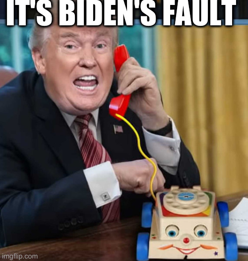 I'm the president | IT'S BIDEN'S FAULT | image tagged in i'm the president | made w/ Imgflip meme maker