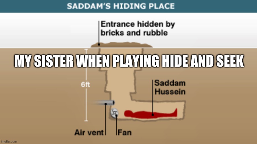 hide and seek | MY SISTER WHEN PLAYING HIDE AND SEEK | image tagged in funny,sister,hide and seek | made w/ Imgflip meme maker