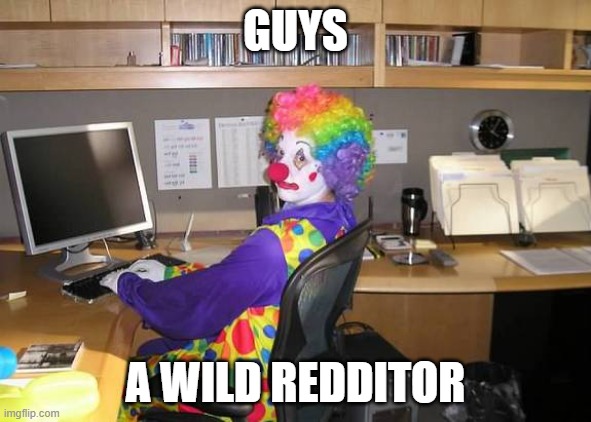 clown computer | GUYS; A WILD REDDITOR | image tagged in clown computer | made w/ Imgflip meme maker
