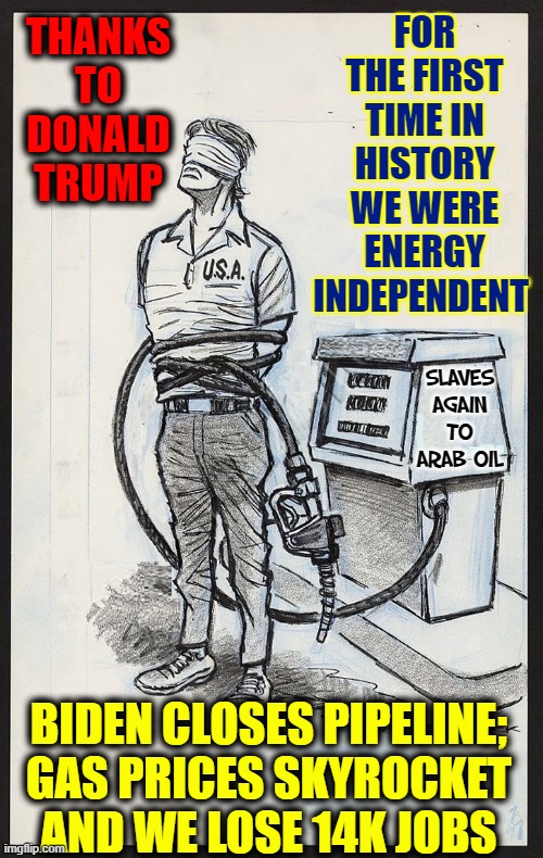 When Political Agenda Trumps Common Sense | THANKS
TO
DONALD
TRUMP; FOR THE FIRST TIME IN HISTORY
WE WERE ENERGY INDEPENDENT; SLAVES
AGAIN
TO
ARAB OIL; BIDEN CLOSES PIPELINE;
GAS PRICES SKYROCKET
AND WE LOSE 14K JOBS | image tagged in vince vance,gas prices,energy,independence,memes,donald trump | made w/ Imgflip meme maker