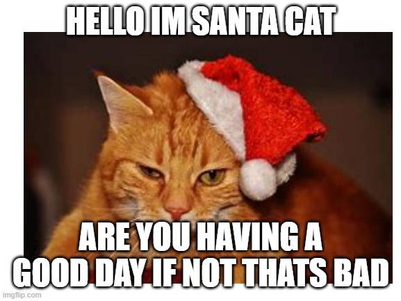 HELLO IM SANTA CAT; ARE YOU HAVING A GOOD DAY IF NOT THATS BAD | image tagged in cat | made w/ Imgflip meme maker