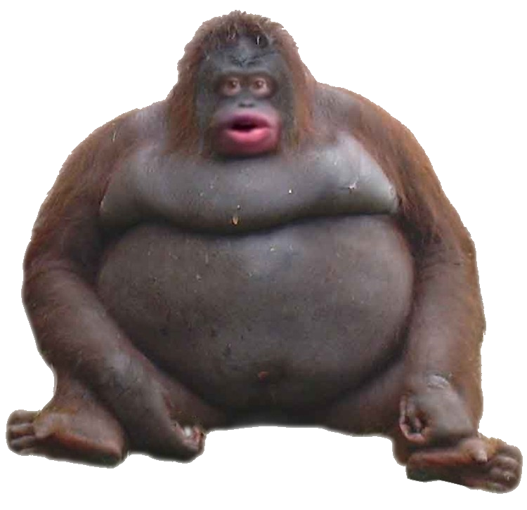 monke Blank Meme Template