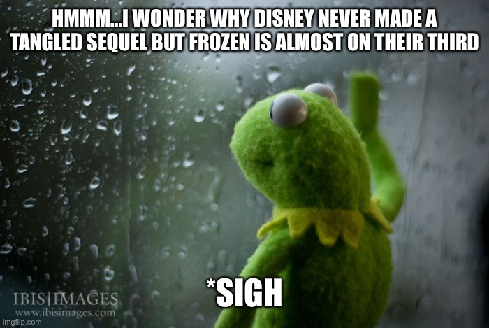 kermit window | HMMM…I WONDER WHY DISNEY NEVER MADE A TANGLED SEQUEL BUT FROZEN IS ALMOST ON THEIR THIRD; *SIGH | image tagged in kermit window | made w/ Imgflip meme maker