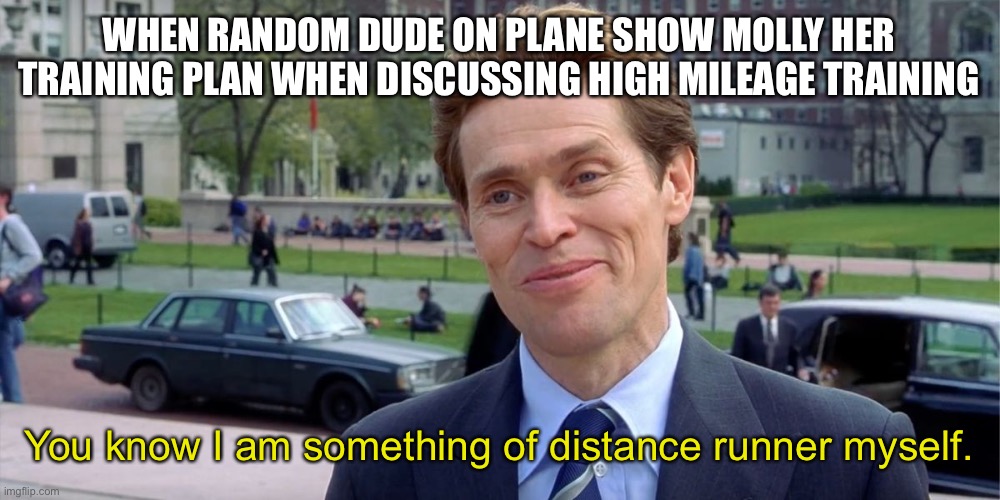 Running meme |  WHEN RANDOM DUDE ON PLANE SHOW MOLLY HER TRAINING PLAN WHEN DISCUSSING HIGH MILEAGE TRAINING; You know I am something of distance runner myself. | image tagged in you know i'm something of a scientist myself | made w/ Imgflip meme maker