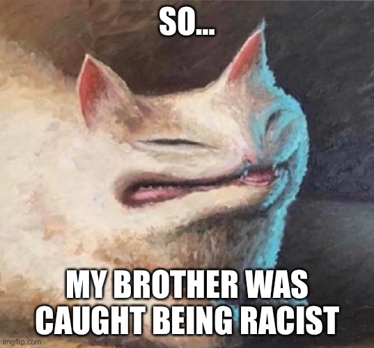 cursed cat painting | SO…; MY BROTHER WAS CAUGHT BEING RACIST | image tagged in cursed cat painting | made w/ Imgflip meme maker