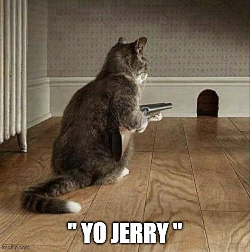 " YO JERRY " | image tagged in tom and jerry,funny memes | made w/ Imgflip meme maker