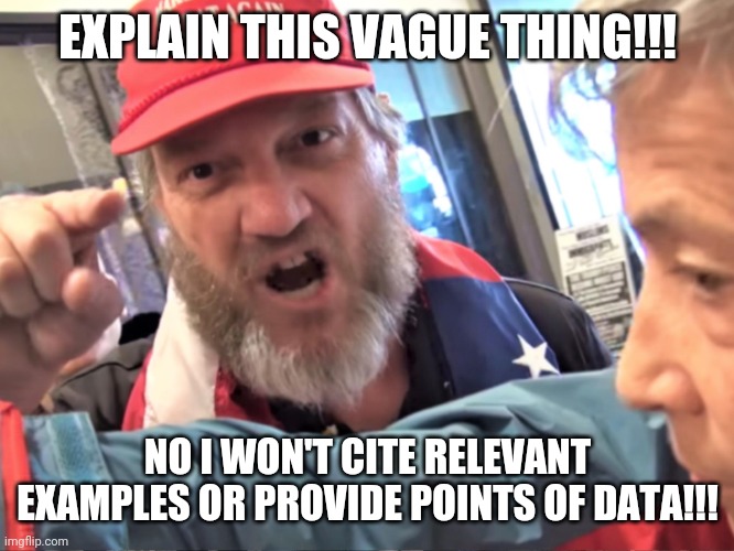 Angry Trump Supporter | EXPLAIN THIS VAGUE THING!!! NO I WON'T CITE RELEVANT EXAMPLES OR PROVIDE POINTS OF DATA!!! | image tagged in angry trump supporter | made w/ Imgflip meme maker