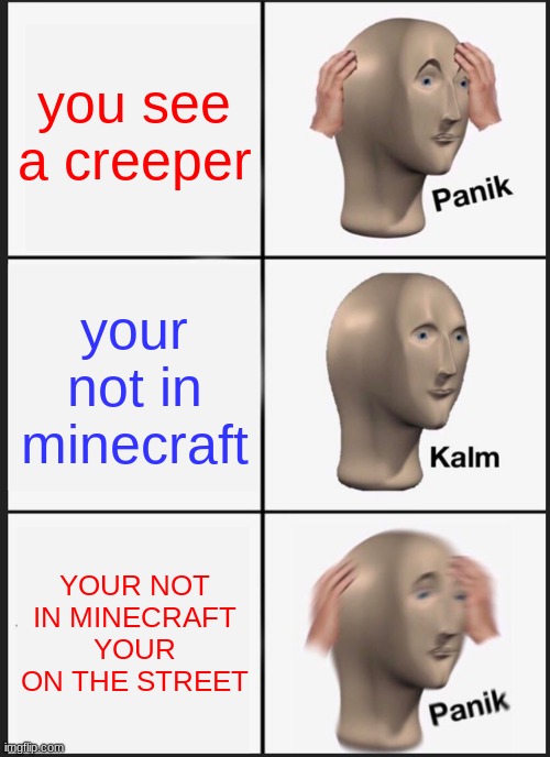 Help. | you see a creeper; your not in minecraft; YOUR NOT IN MINECRAFT YOUR ON THE STREET | image tagged in memes,panik kalm panik | made w/ Imgflip meme maker