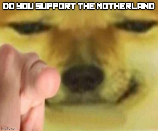 Cheems Pointing At You | DO YOU SUPPORT THE MOTHERLAND | image tagged in cheems pointing at you | made w/ Imgflip meme maker