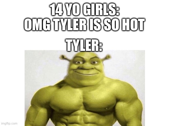 Seggsy | 14 YO GIRLS:
OMG TYLER IS SO HOT; TYLER: | image tagged in funny | made w/ Imgflip meme maker