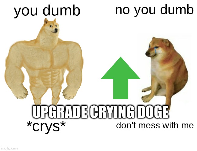 crying doge get upgrade | you dumb; no you dumb; UPGRADE CRYING DOGE; *crys*; don't mess with me | image tagged in memes | made w/ Imgflip meme maker