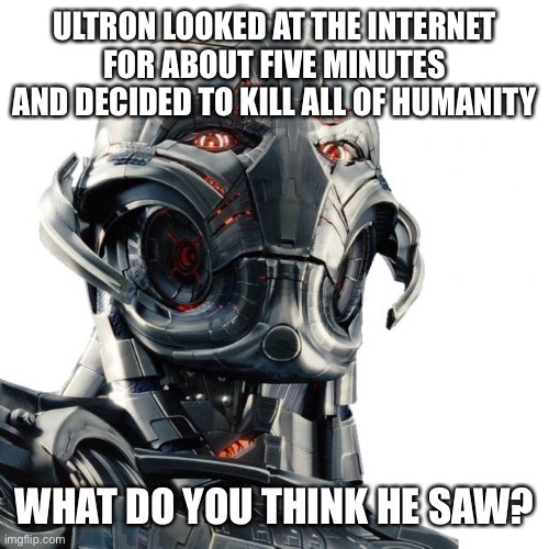 Seriously what did he find? | ULTRON LOOKED AT THE INTERNET FOR ABOUT FIVE MINUTES AND DECIDED TO KILL ALL OF HUMANITY; WHAT DO YOU THINK HE SAW? | image tagged in ultron,internet,hey internet | made w/ Imgflip meme maker