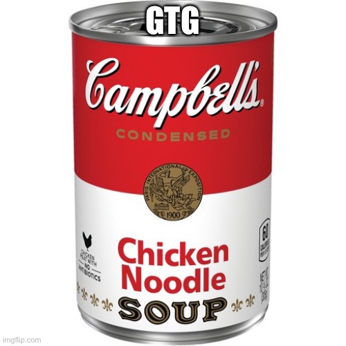 Chicken Noodle Soup | GTG | image tagged in chicken noodle soup | made w/ Imgflip meme maker