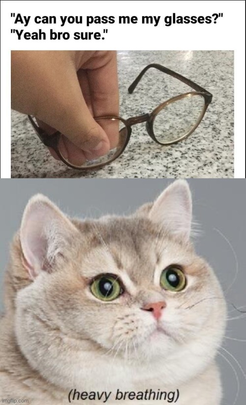 image tagged in memes,heavy breathing cat | made w/ Imgflip meme maker