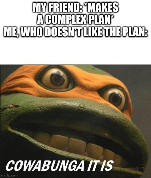 Y E E T |  MY FRIEND: *MAKES A COMPLEX PLAN*
ME, WHO DOESN'T LIKE THE PLAN: | image tagged in cowabunga it is | made w/ Imgflip meme maker