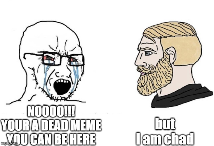 dead meme | but I am chad; NOOOO!!! YOUR A DEAD MEME YOU CAN BE HERE | image tagged in soyboy vs yes chad | made w/ Imgflip meme maker