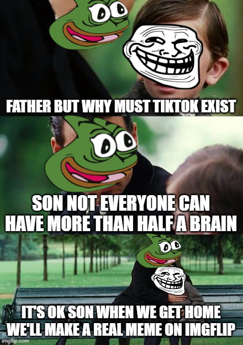 Why father? Why? | FATHER BUT WHY MUST TIKTOK EXIST; SON NOT EVERYONE CAN HAVE MORE THAN HALF A BRAIN; IT'S OK SON WHEN WE GET HOME WE'LL MAKE A REAL MEME ON IMGFLIP | image tagged in memes,finding neverland,tik tok sucks | made w/ Imgflip meme maker