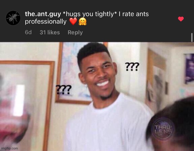 Saw the is random comment on instagram. The post it was commented on didn’t even relate to ants in any way. | image tagged in black guy confused | made w/ Imgflip meme maker