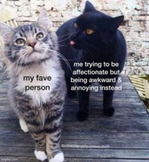Shit my computer is about to lock and i cant post wholesome things | made w/ Imgflip meme maker