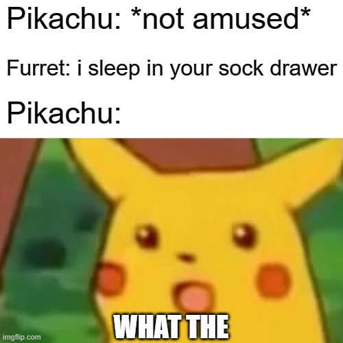 Surprised Pikachu Meme | Pikachu: *not amused* Furret: i sleep in your sock drawer Pikachu: WHAT THE | image tagged in memes,surprised pikachu | made w/ Imgflip meme maker