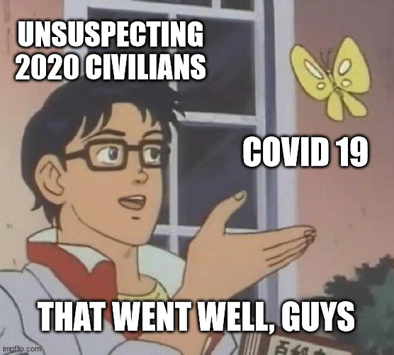 2020 went like: | UNSUSPECTING 2020 CIVILIANS; COVID 19; THAT WENT WELL, GUYS | image tagged in memes,2020,covid-19 | made w/ Imgflip meme maker