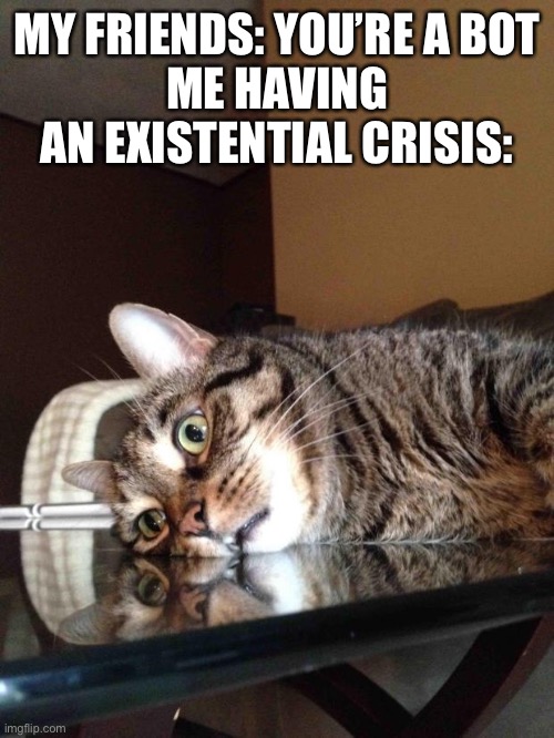 Am I a bot? | MY FRIENDS: YOU’RE A BOT
ME HAVING AN EXISTENTIAL CRISIS: | image tagged in existential crisis cat | made w/ Imgflip meme maker