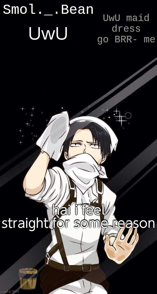 UwU; hai i feel straight for some reason | image tagged in beans levi temp | made w/ Imgflip meme maker